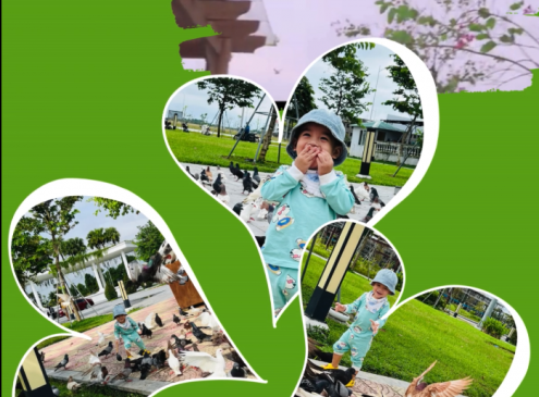 Hè đến rộn ràng cùng bé vui ca